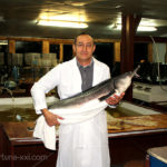 our-fish-2