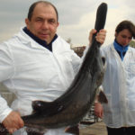 our-fish-4